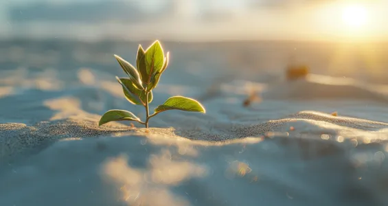 Sustainability 